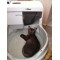 CatGenie 120 автоматический кошачий туалет 